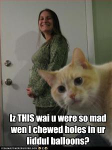 0321b_funny-pictures-cat-comments-on-pregnant-woman